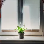 Apartment Tara