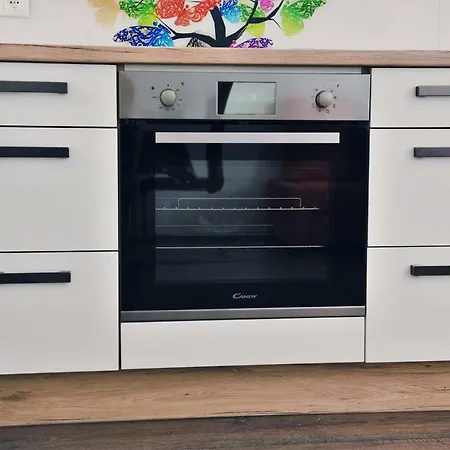 דירה Tara