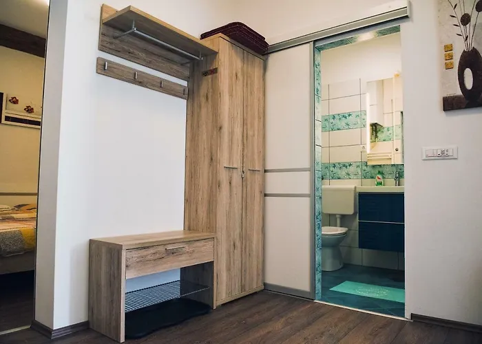 Tara 卢布尔雅那