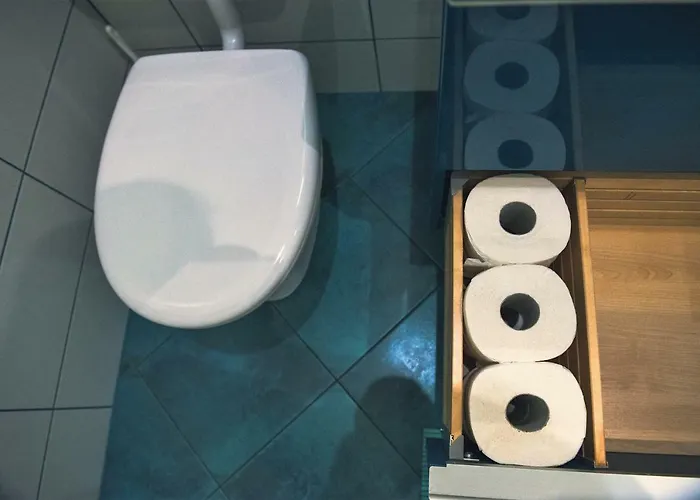 Tara 卢布尔雅那